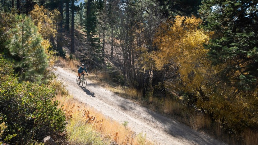 salsa journeyer apex 1 700 - if you're interested in getting into gravel riding and you're...