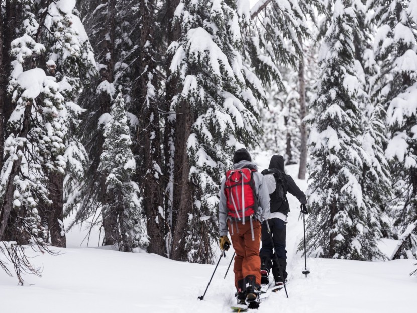 splitboard bindings - bindings that provide efficient uphill travel and transitions have a...