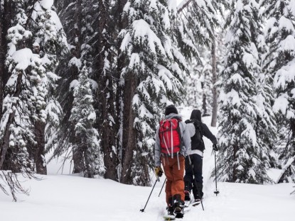 how to choose splitboard bindings for backcountry snowboarding