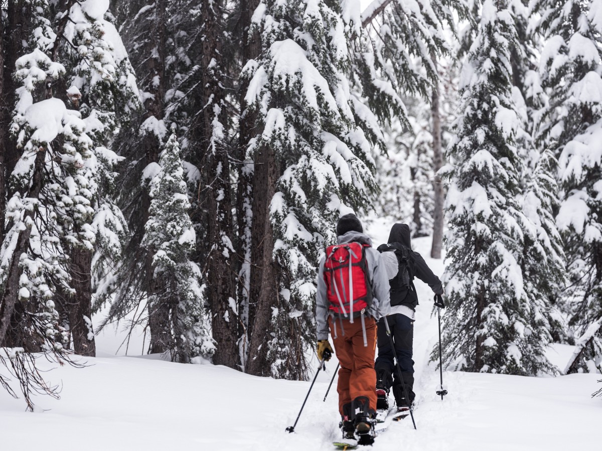 How to Choose Splitboard Bindings for Backcountry Snowboarding