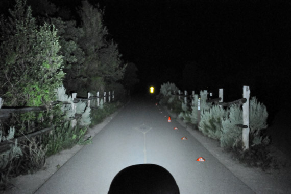 Click to enlarge Beam photo of Petzl Actik