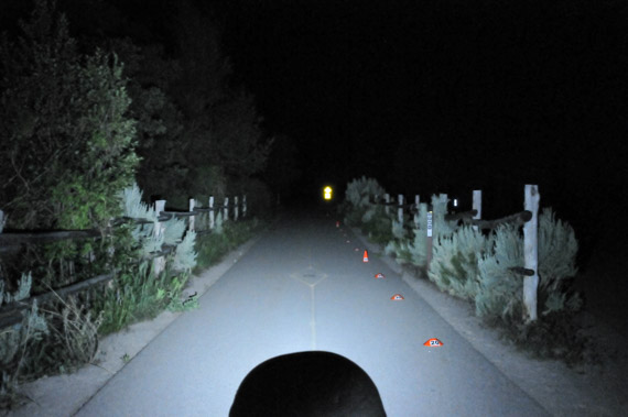 Click to enlarge Beam photo of Petzl Tikka