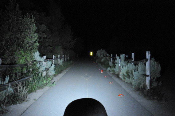 Beam photo of Petzl Tikkina