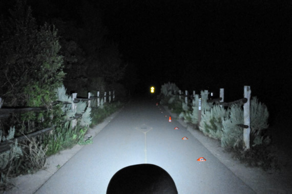 Click to enlarge Beam photo of Petzl Zipka