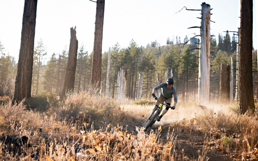 bontrager line pro 30 tlr boost 29" - our testers rode the line pro wheels hard and we have no durability...