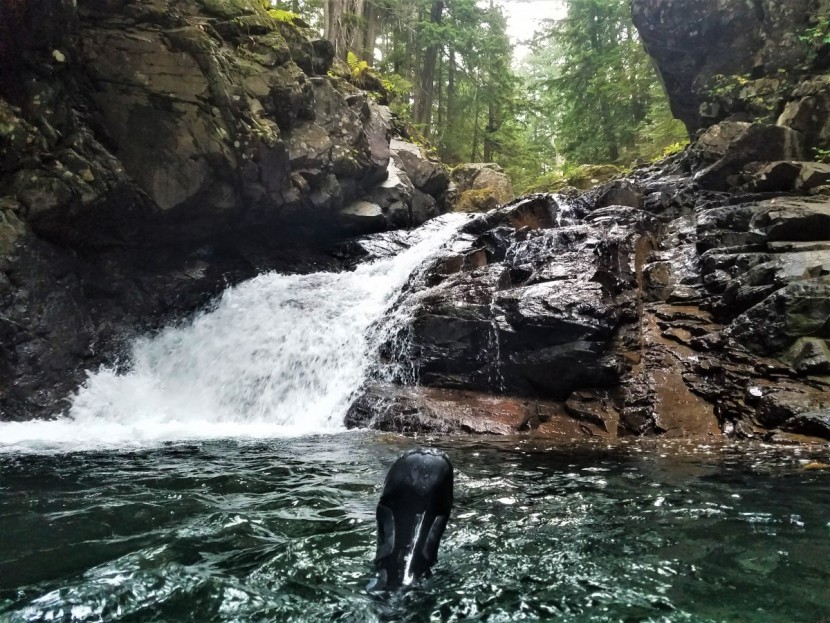 water shoes men - we loved the nrs paddle for its warmth and excellent flexibility...