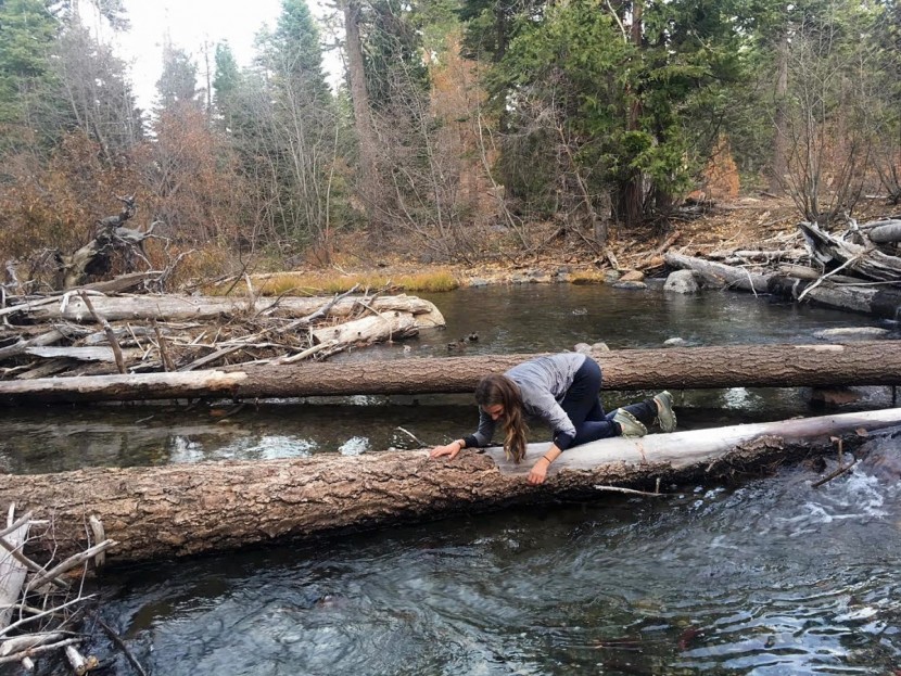 columbia anytime outdoor pull-on for women - they repel water surprisingly well, and are ideal for water sports...