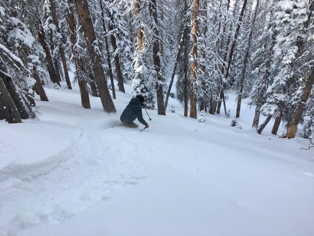 arc'teryx macai - the macai is a warm and sleek jacket for all skiing conditions.