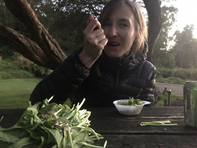 winterial 11 piece camping set - sometime we would use these little bowls as a means for our bowls...