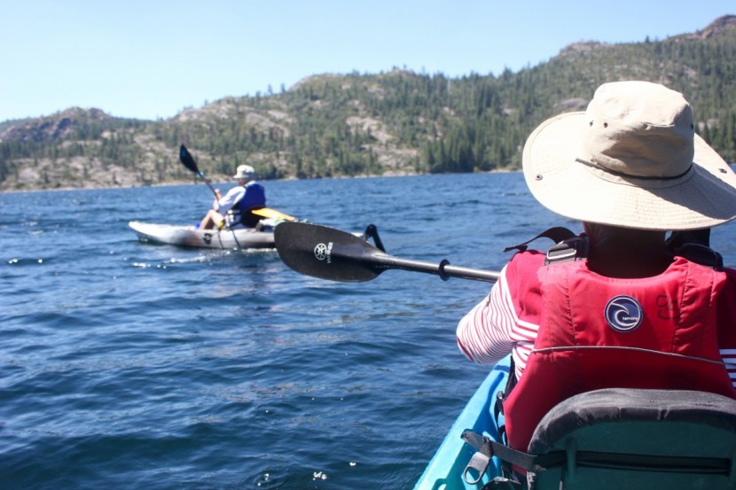 werner kalliste - there are cheaper paddles available, but if you're looking for a...