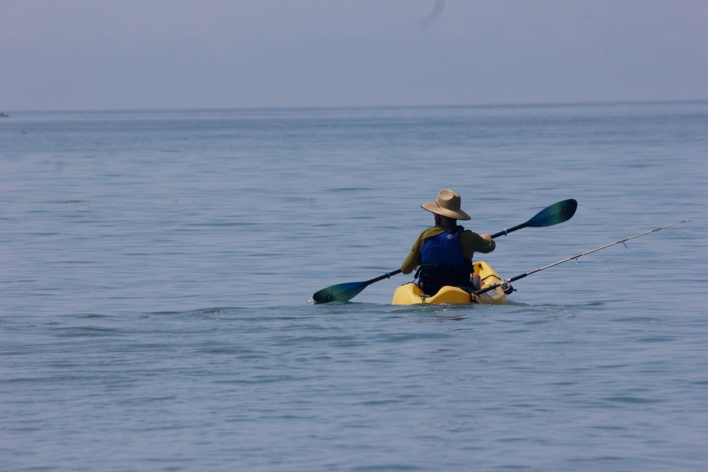 wilderness systems pungo glass - the performance of this paddle is instantly noticeable.