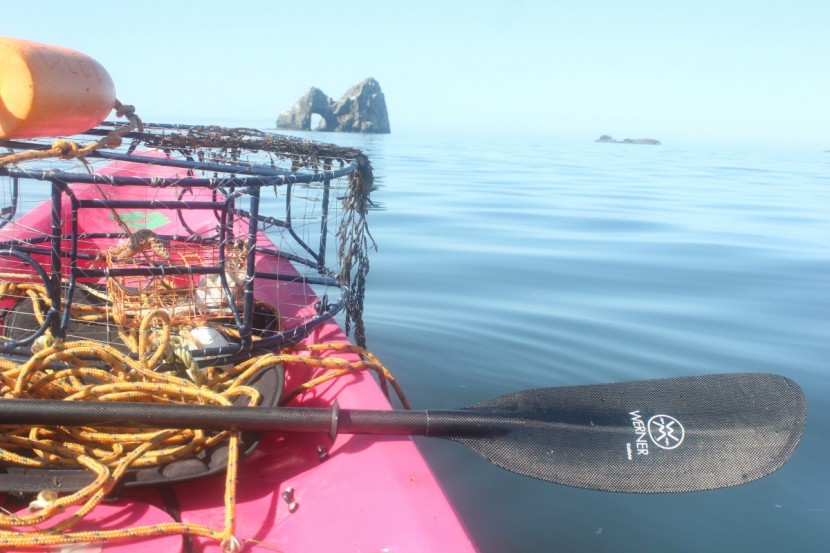 even if you come home empty-handed, a morning on the water with the...