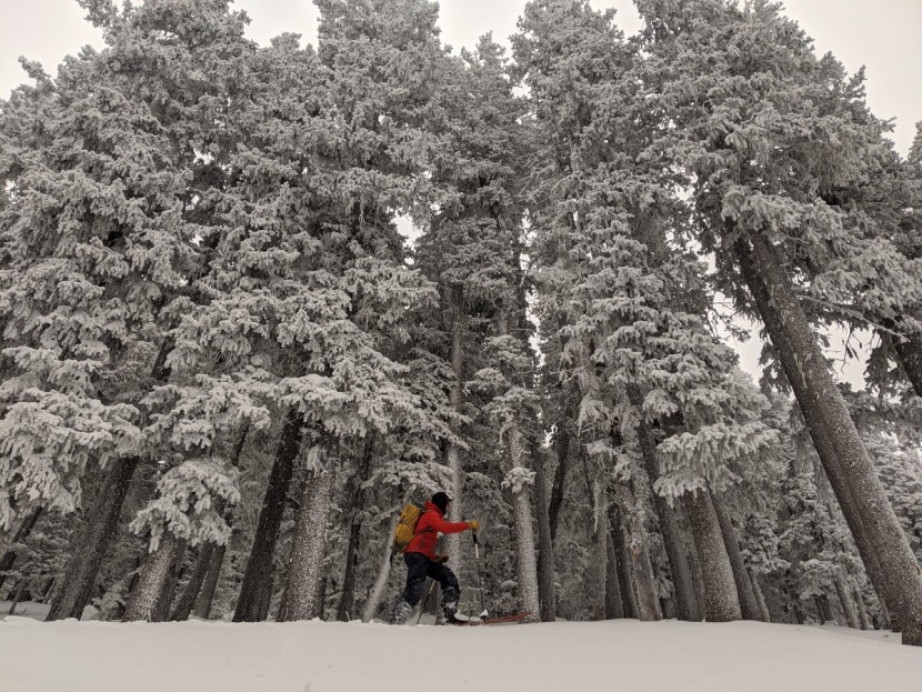 wind breaker jacket - windbreakers are a great choice for keeping you dry and protected...