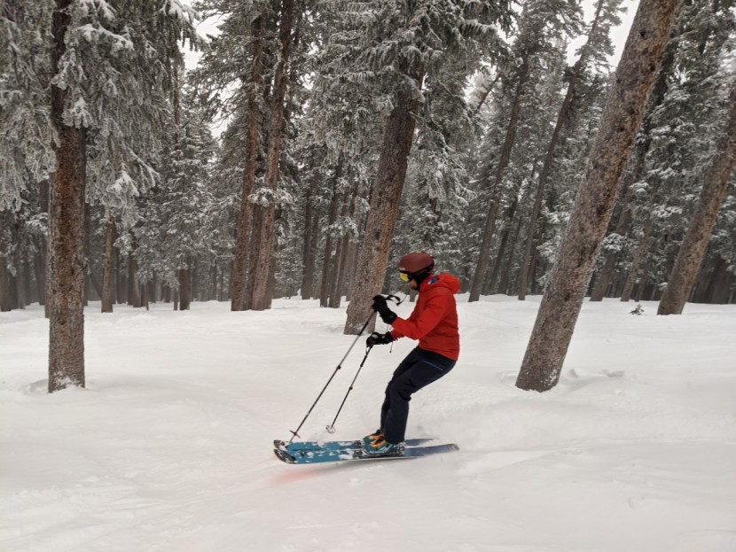 backcountry canyonlands lightweight - finding solitude in the trees on a stormy day, our friend max...