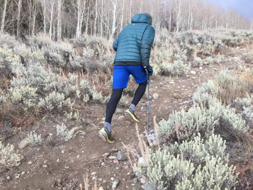 black diamond distance carbon flz - these are great poles for mountain runners and other gram-shaving...