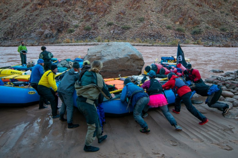 chaco torrent pro for women - these shoes function in almost anywhere you might need a shoe, even...