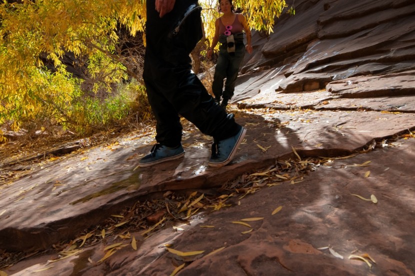 water shoes womens - great ventilation can make for a much more comfortable shoe.