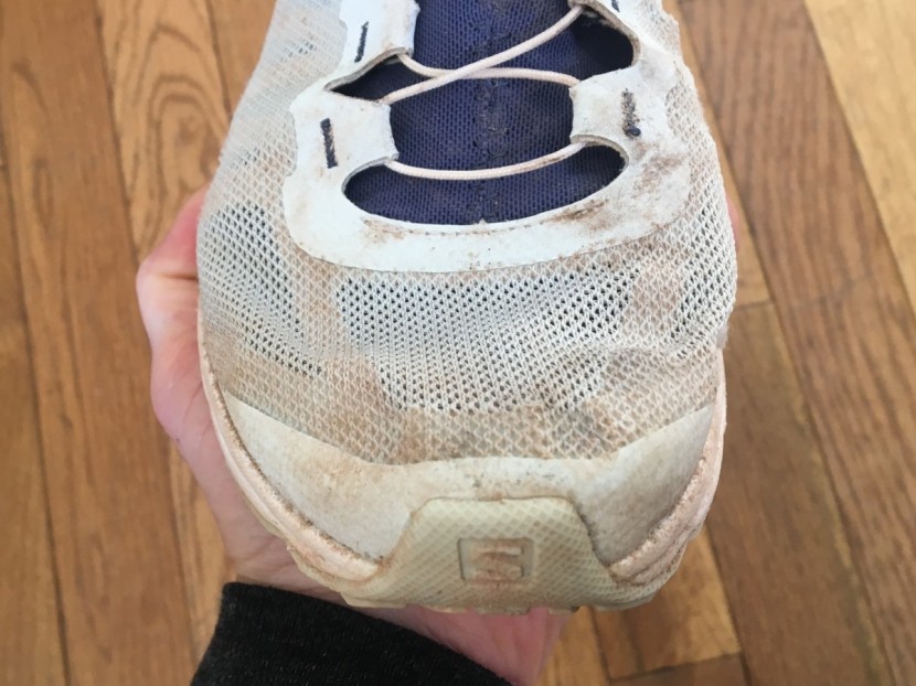 salomon amphib bold for women - the thin mesh uppers would be unlikely to take a sharp stick or rock...