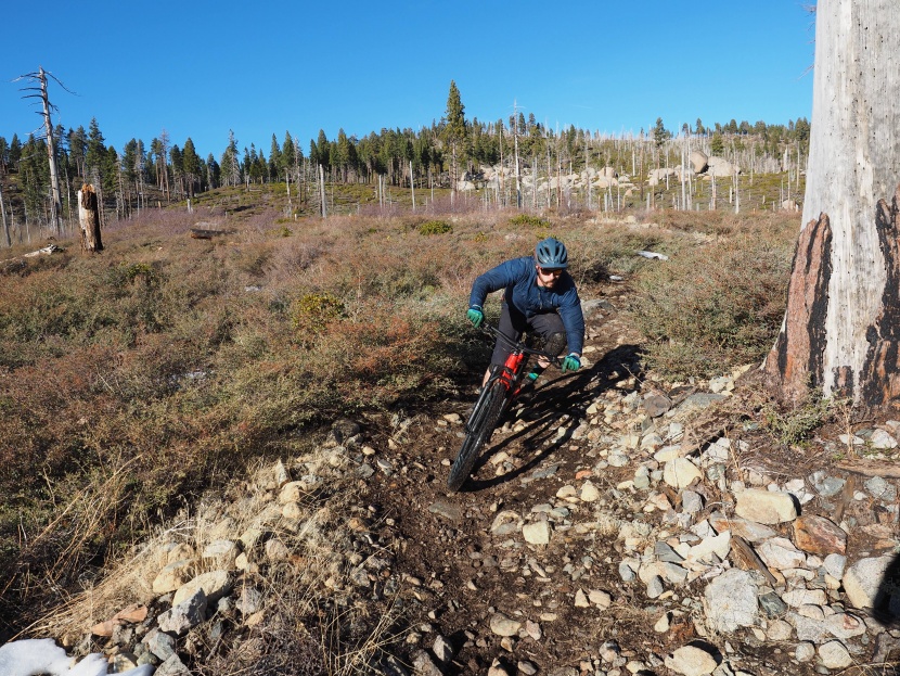 vittoria agarro 2.6 - this tire prefers fast and flowy trails to chunky ones.