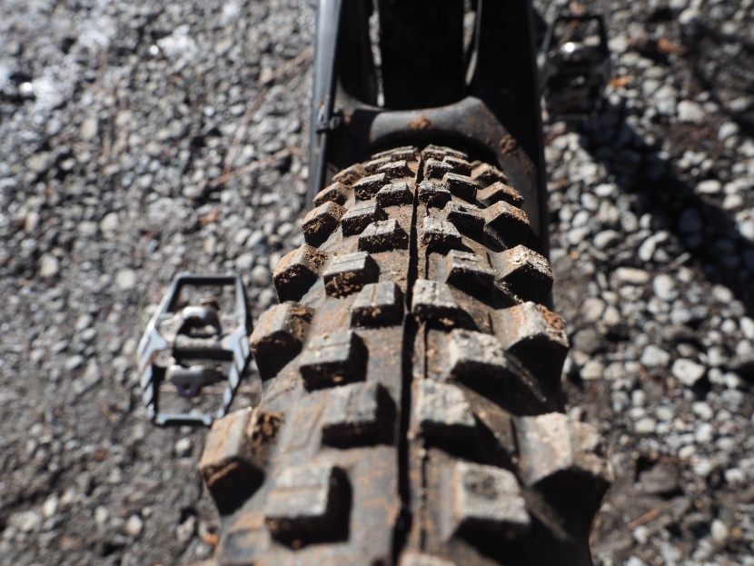 michelin wild enduro rear 2.4 - this isn't a particularly fast-rolling rear tire.