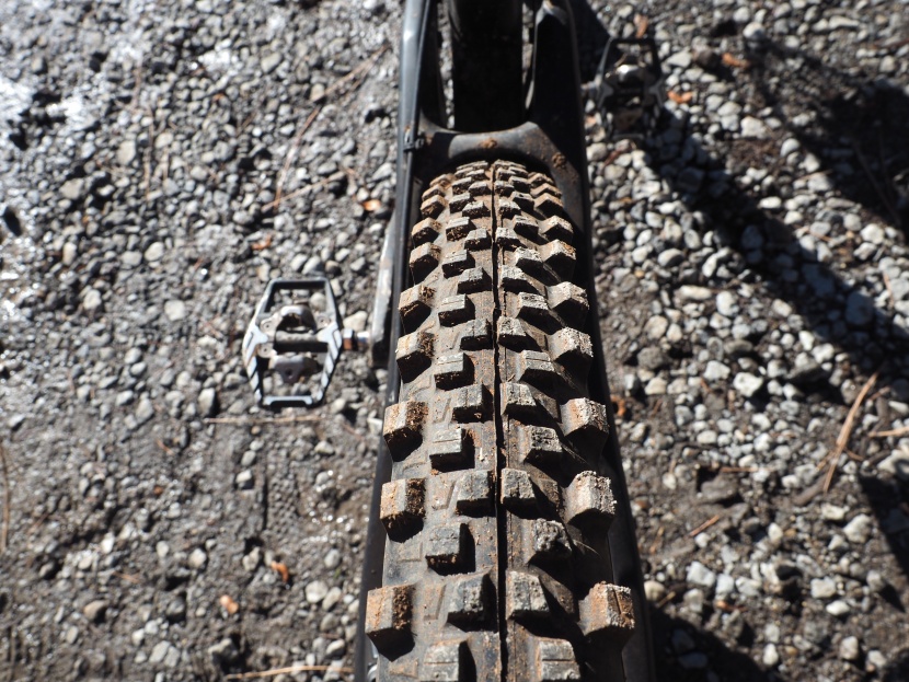 michelin wild enduro rear 2.4 - the shoulder knobs are large and well-spaced. in addition, the...