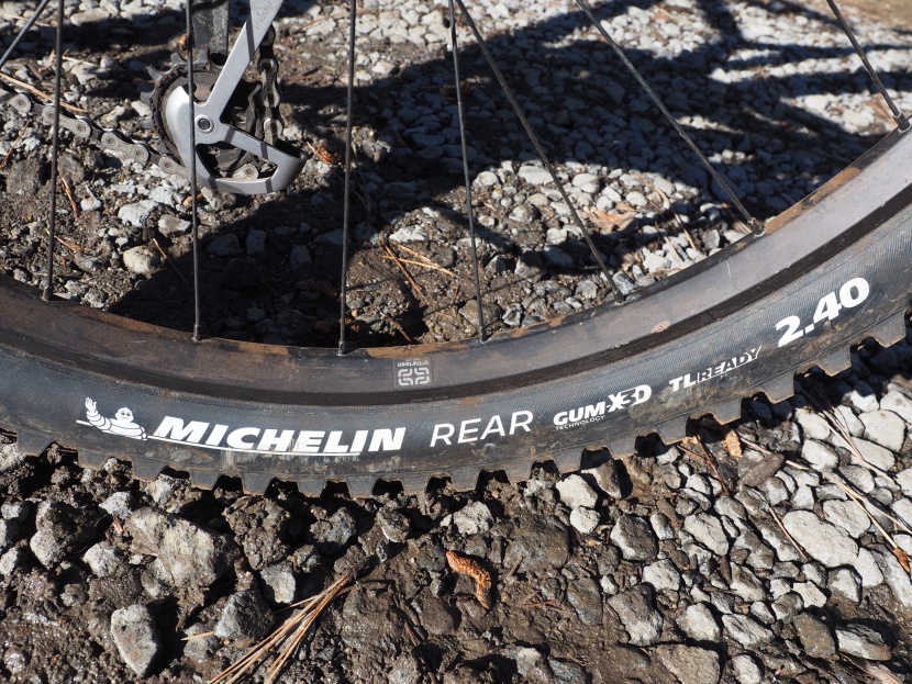 mountain bike tires - a tire's sidewall typically tells you everything you need to know.
