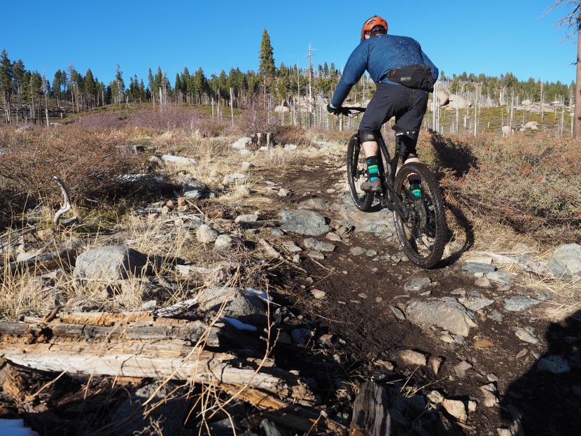 mountain bike tires - a good rear tire has a blend of pedaling, braking, and cornering...