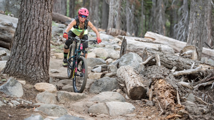mountain bike tires - if your trails look like this you'll probably want a robust casing...