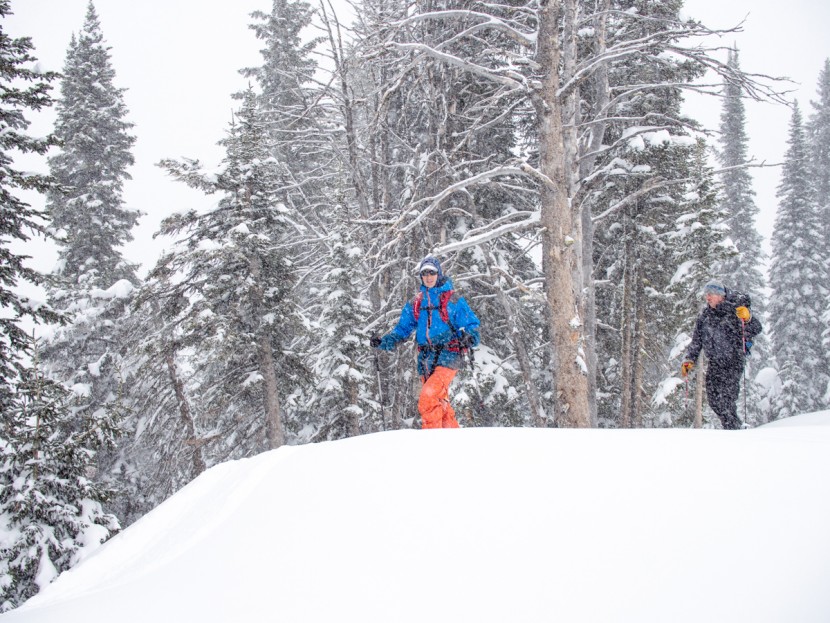 plum summit 12 - for your typical ski touring, the plum is confidence inspiring and...