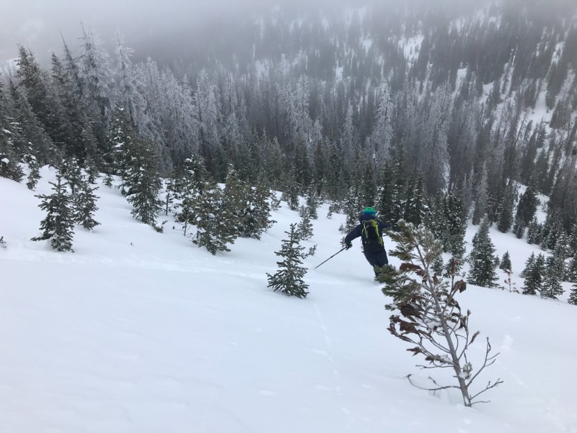 dynafit tlt 8 expedition - for your typical powder ski touring, the tlt 8 is in the sweet spot...