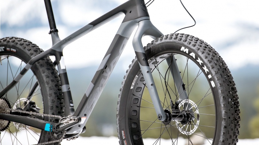 fat bike - the 3-pack mounts on the salsa beargrease add to its versatility.