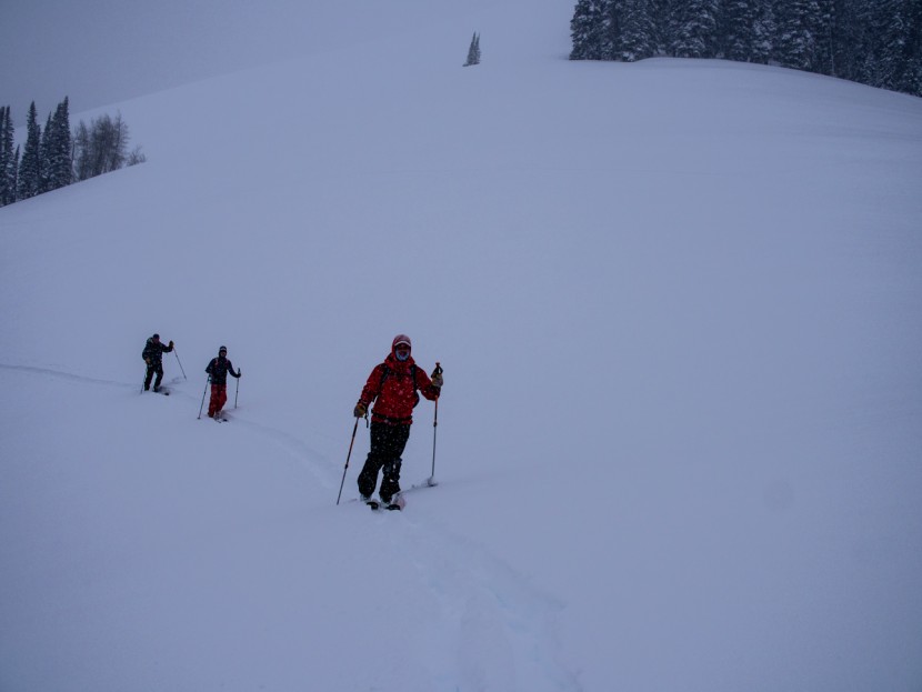 g3 alpinist+ speed - gentle, persistent skin track and perfect powder snow. what more is...