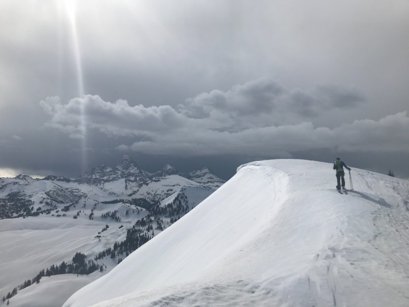 climbing skins - maximum traction isn't as important as you might think. especially...