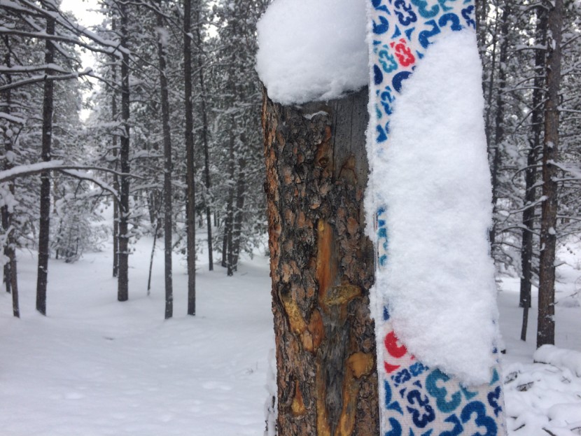 climbing skins - icing of the fabric side of your skins is demoralizing and...