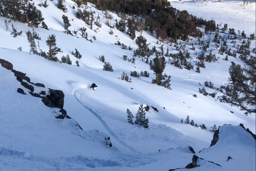 union expedition 2.0 - the expedition 2.0 provides the same fluid and fun performance we...