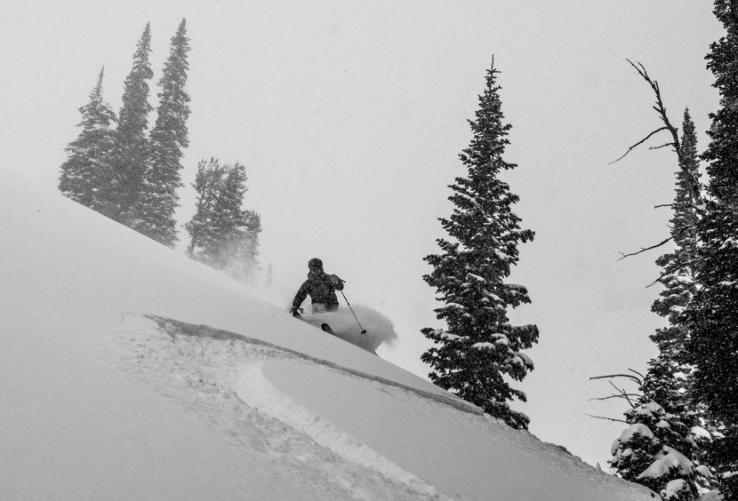 fischer transalp 90 carbon - the transalp 90 isn't exactly what you think of for powder skiing...