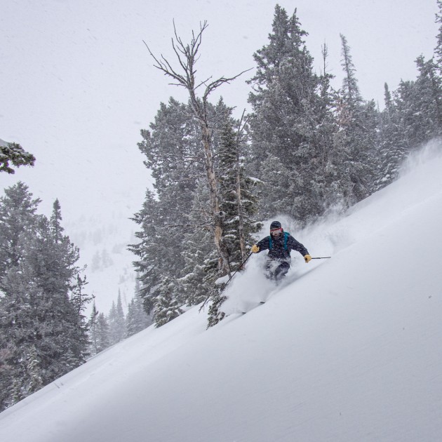 g3 roamr 108 - some of that perfect january 2020 powder. no better testing for big...