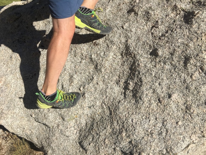 salewa wildfire edge - these hiking shoes are great for sprinting around in the mountains...