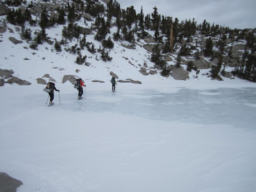 msr revo trail - the traction on this snowshoe was plenty for crossing the occasional...