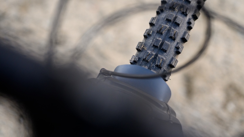 a 2.5-inch maxxis minion dhf in the front.