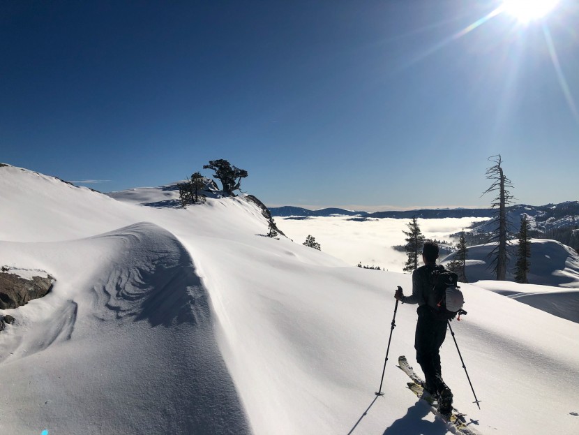 black diamond ascension splitboard sts - the ascension is a nylon-based skin that provides plenty of glide.