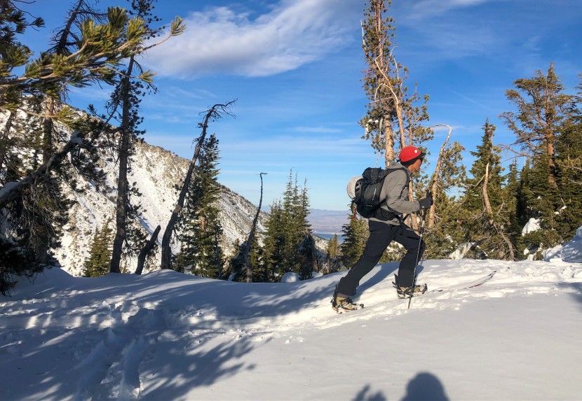 g3 splitboard+ universal - the medium-length pile gives this skin mohair like glide.