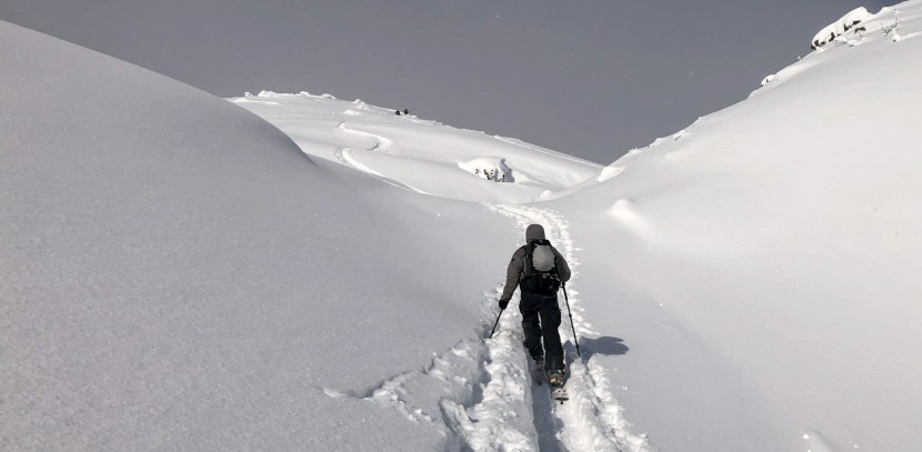 splitboard skins - enjoy determining which skin is best for your next adventure.