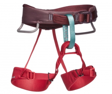 Product photo of Black Diamond Momentum - Kid's