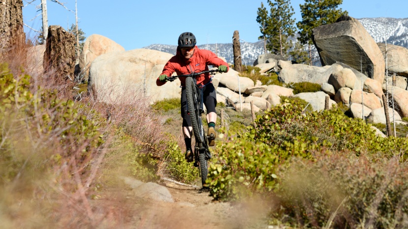 mountain bike gloves - the cognito d30 provide a nice level of protection in a surprisingly...