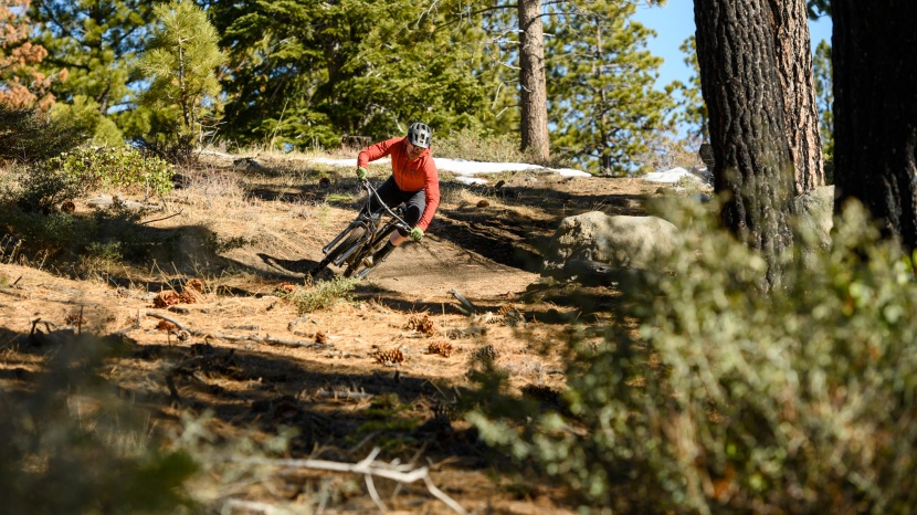 yt jeffsy base 29 - the wheels and tires on the jeffsy are some of the nicest you'll...