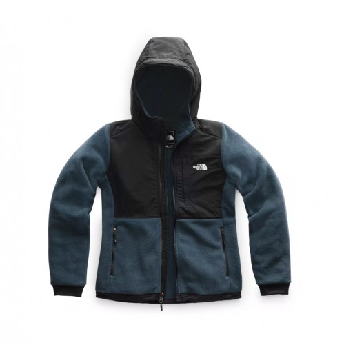 The North Face Denali 2 Hoody - Women's Review