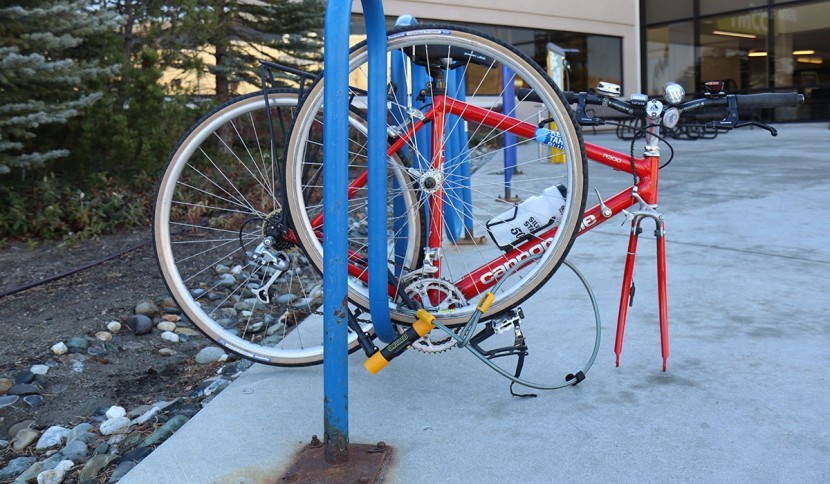 onguard bulldog dt - the on-guard bulldog dt lock offers ample versatility for a low-cost...