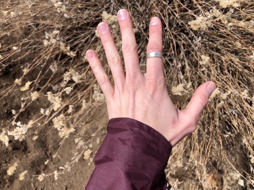 ortovox merino windbreaker for women - slightly longer on the backs of your hands, the ortovox provides...