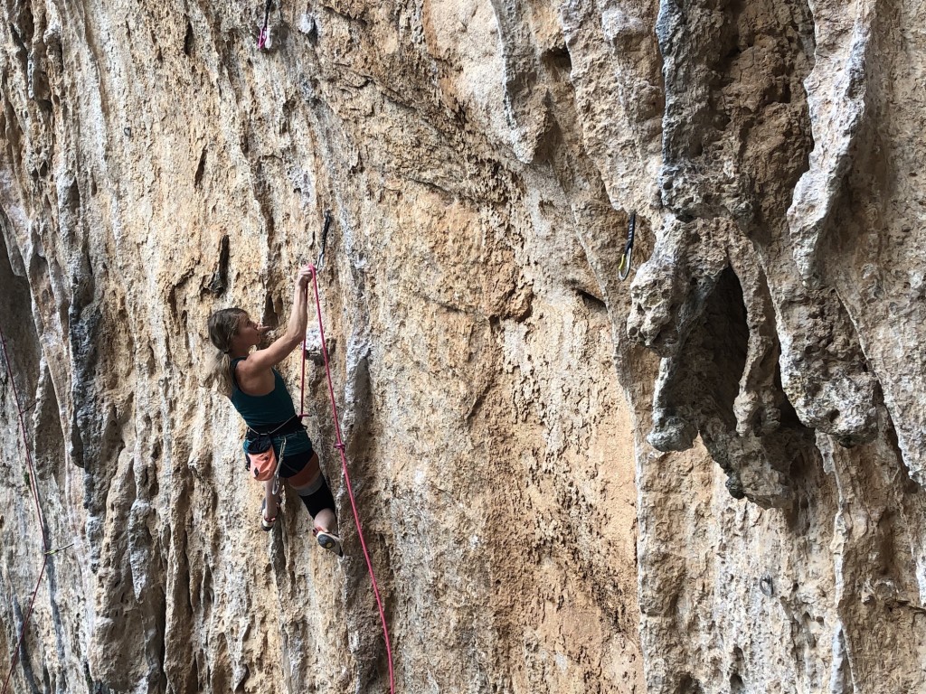 black diamond hotforge - the hotforge is an economical double solid gate quickdraw that can...